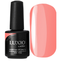 Luxio - Precocious