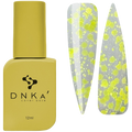 TOP SORBET 12ml - DNKa™